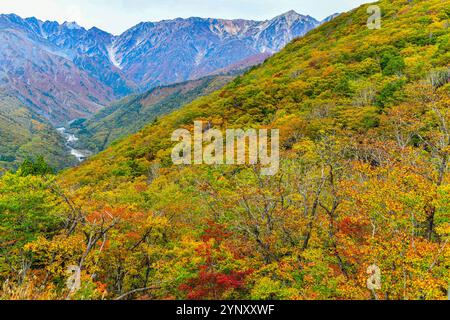 Natürliche Landschaft des Mount Hakuba Iwatake vom Mountain Resort Hakuba Village im Herbst, Nagano, Japan. Stockfoto
