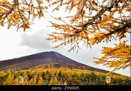 Berg Fuji von der 5. Station der Fuji Subaru Linie im Herbst Stockfoto