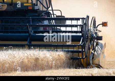 Nahaufnahme eines Mähdreschers, der Weizen erntet, Saanichton, British Columbia, Kanada Stockfoto