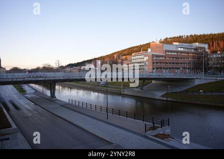 Moderne Brücke über den Fluss in Sundsvall, Schweden, mit städtischer und waldbezogener Kulisse Stockfoto