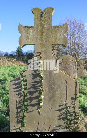 Ivy (Hedera Helix) wächst auf Grabsteinen auf dem Friedhof der St. Michael's Church, Chart Sutton, nahe Maidstone, Kent, Großbritannien. Stockfoto
