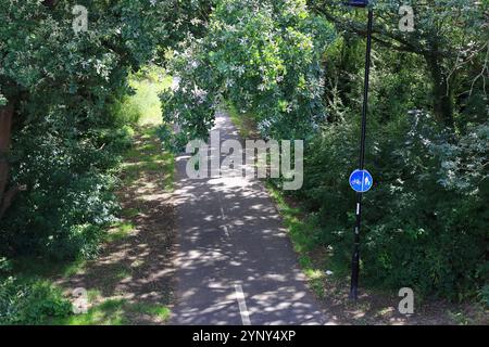 Gosport, Hampshire, England. 4. August 2024. Ein schattiger Fußweg und Radweg mit Bäumen, Gras und Laub auf beiden Seiten. Stockfoto