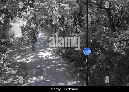 Gosport, Hampshire, England. 4. August 2024. Graustufenansicht eines Radweges und Fußgängerwegs mit blauem Schild im Vordergrund. Stockfoto