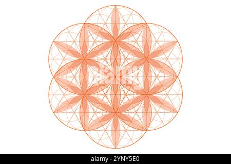 Blume des Lebens, heilige Geometrie. lotusblume. mandala Ornament Same of Life Icon, esoterische oder spirituelle Symbol. Design mit Logolinie isoliert Stock Vektor