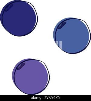 Grafische Linie rohe isolierte reife Heidelbeere. Vektorplumpe Heidelbeere, isoliert auf transparentem Hintergrund in drei Farben gesetzt Stock Vektor