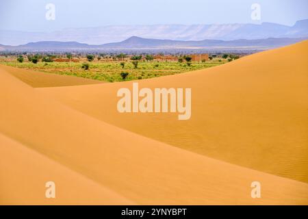 Wüstendünen bei Tinfou bei Zagora am Rande der Sahara in Marokko Stockfoto