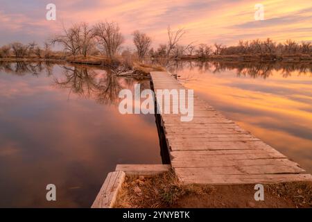 Holzsteg über einen See bei Sonnenuntergang in einem der natürlichen Gegenden in Fort Collins, Colorado Stockfoto