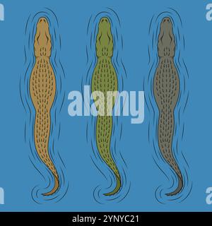 Farbillustrationen mit schwimmendem Krokodil. Isolierte Vektorobjekte auf blauem Hintergrund. Stock Vektor