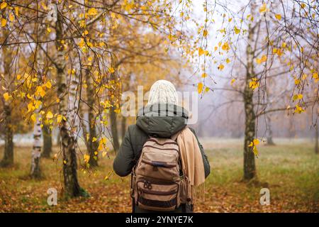 Frau mit Rucksack spaziert durch nebligen Birkenwald. Wandern im Herbst. Wanderer tragen warme Kleidung bei kaltem Wetter in der Herbstsaison Stockfoto