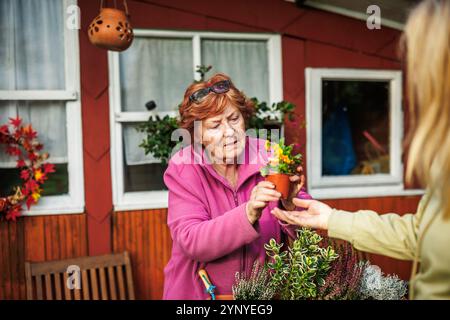 Eine glückliche lächelnde Seniorin und ihre erwachsene Tochter Pflanzen Blumen im Garten. Menschen, die im Garten arbeiten Stockfoto