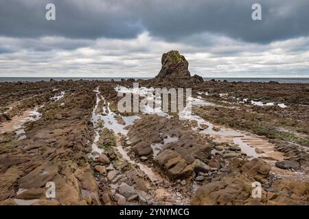 Black Rock und Reflexion bei Ebbe am Strand von Widemouth Bay im Südwesten Englands, Großbritannien Stockfoto