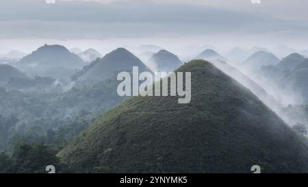 Panorama der Chocolate Hills auf der Insel Bohol auf den philippinen bei Sonnenaufgang mit Nebel und Nebel Stockfoto