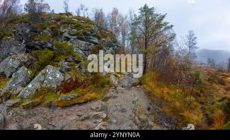 Ein felsiger Wanderweg schlängelt sich durch einen nebeligen Wald mit Herbstlaub. Stockfoto