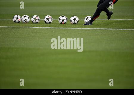 Shoot Practice, Adidas Derbystar Pro Match Balls liegen auf Gras, Champions League, Allianz Arena, München, Bayern, Deutschland, Europa Stockfoto