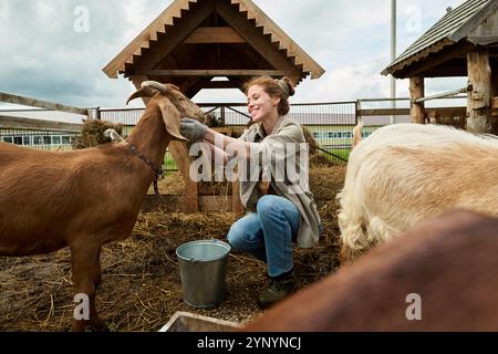 Fröhliche junge Frau, die reinrassige Ziegen und Tiere füttert, während sie auf Squats auf dem Hof der Viehzucht sitzt Stockfoto