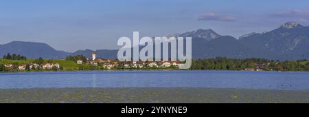 Hopfensee, dahinter Hopfen am See und die Ammergauer Alpen, Ostallgäu, Allgäu, Schwaben, Bayern, Deutschland, Europa Stockfoto