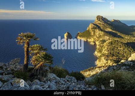 Cap formentor vom Wachturm von Albercutx auf der Nordwestseite von mallorca, spanien bei Sonnenuntergang Stockfoto