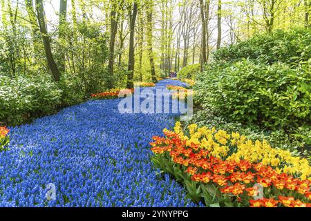 LISSE, NIEDERLANDE, 22. APRIL 2018: Viele Menschen genießen die blühenden Tulpen im Keukenhof, dem schönsten Frühlingsgarten der Welt Stockfoto