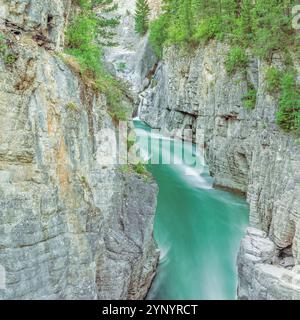 south Fork Flathead Fluss in einer engen Schlucht bei Meadow Creek über Hungry Horse Reservoir, montana Stockfoto