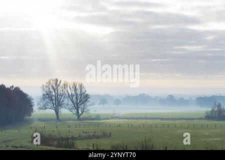 Typische niederländische Landwirtschaftslandschaft an einem dezembermorgen Stockfoto