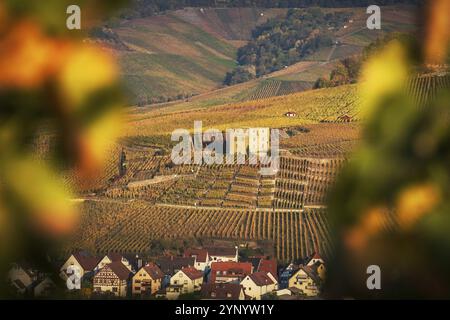 Schloss Y im Weinberg im Herbst bei Stuttgarter Weinstadt Schnait Stockfoto