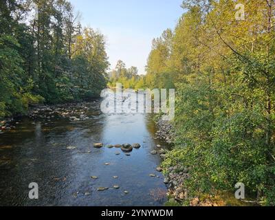 Ein friedlicher Fluss fließt sanft zwischen Bäumen und umschließt die Ruhe der Natur auf beiden Seiten Stockfoto