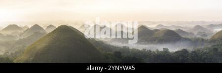 Panorama der Chocolate Hills auf der Insel Bohol auf den philippinen bei Sonnenaufgang mit Nebel und Nebel Stockfoto