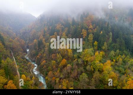 Türkisfarbener Fluss, der durch den farbenfrohen Herbstwald in slowenien fließt. Triglav Nationalpark, Slowenien Stockfoto