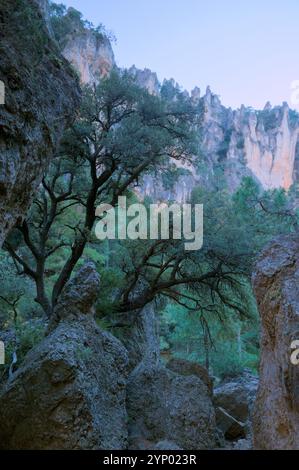 Ruhige Naturszene mit zerklüfteten felsigen Klippen, dichten grünen Bäumen und einer ruhigen Atmosphäre. Stockfoto