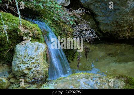 Ruhiger Wasserfall, der über moosbedeckte Felsen in ein klares Wasser stürzt. Stockfoto