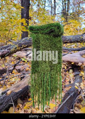 Grüner Strickschal, Fransen, Grasfellschal mit Moosstruktur, langer flauschiger Schal im Herbstwald, Samtschal, Halskleidung, Accessoire, Natur inspiriert Stockfoto