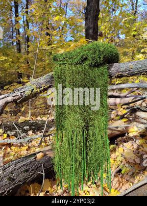 Grüner Strickschal, Fransen, Grasfellschal mit Moosstruktur, langer flauschiger Schal im Herbstwald, Samtschal, Halskleidung, Accessoire, Natur inspiriert Stockfoto