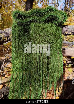 Grüner Strickschal, Fransen, Grasfellschal mit Moosstruktur, langer flauschiger Schal im Herbstwald, Samtschal, Halskleidung, Accessoire, Natur inspiriert Stockfoto