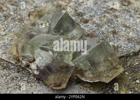 Leuchtendes Fluorit-Kristall-Cluster mit klaren und durchscheinenden Qualitäten, wunderschön zwischen grünen Blättern positioniert und zeigt seine natürliche Kristallform Stockfoto