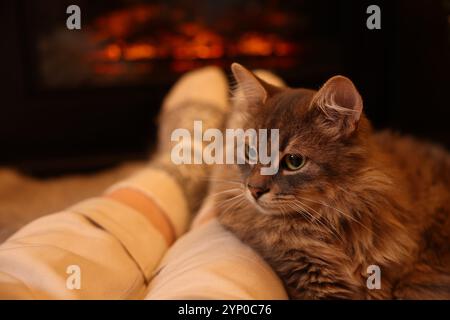 Frau und süße flauschige Katze in der Nähe von Kamin drinnen, Nahaufnahme Stockfoto