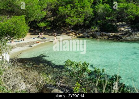 Mallorca, Spanien - 10. Oktober 2024: Touristen sonnen sich am Strand Platja del Rei. Stockfoto
