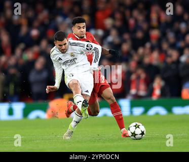 Liverpool, Großbritannien. November 2024. Liverpool Luis Diaz und Real Madrids Dani Ceballos während des Spiels der UEFA Champions League in Anfield, Liverpool. Der Bildnachweis sollte lauten: Jessica Hornby/Sportimage Credit: Sportimage Ltd/Alamy Live News Stockfoto