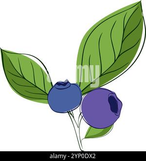 Blaubeerzweig minimalistischer grafischer Linienstil. Vektorzweig von Heidelbeeren mit Blättern und Beeren Stock Vektor
