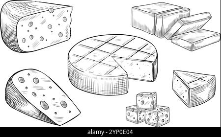 Vektorillustration mit Käsescheiben. Lineare Zeichnung von Milchprodukten, die mit schwarzer Tinte für Kochbücher oder Menüs bemalt werden. Umrissätzung von Lebensmitteln. Einfarbige Ätzung von Gouda oder Cheddar im Retro-Stil. Stock Vektor