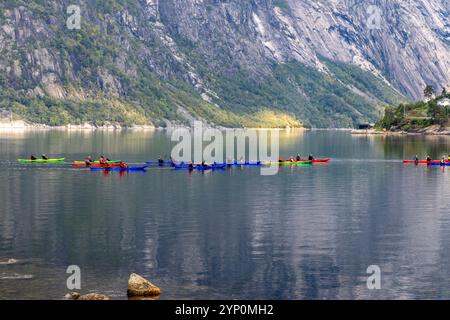 Eidfjord Norwegen, Tourgruppe in Kajaks paddeln auf dem Fjord, Eidfjord ist ein innerer Zweig des Hardangerfjorden, Norwegen, Europa, 2024 Stockfoto