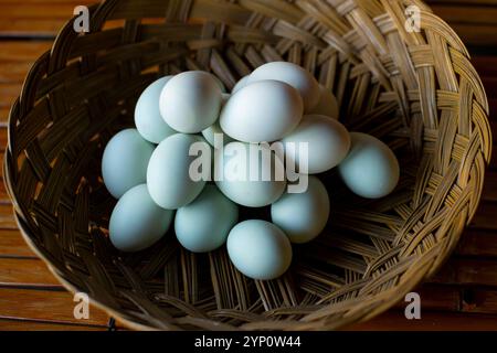 Ein Korb voller Bio-Eier in Bambus-Webkorb. Stockfoto