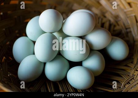 Ein Korb voller Bio-Eier in Bambus-Webkorb. Stockfoto