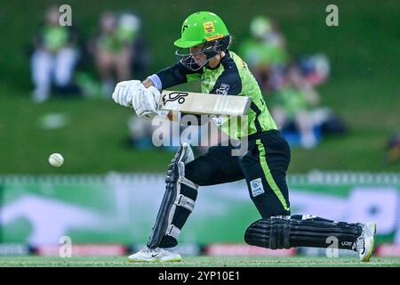 Sydney, Australien. November 2024. Phoebe Litchfield von Sydney Thunder wurde im Drummoyne Oval im Spiel der Women's Big Bash League „The Knockout“ zwischen Sydney Thunder und Hobart Hurricanes gezeigt. Sydney Thunder gewann das Spiel der Women's Big Bash League „The Knockout“ gegen Hobart Hurricanes mit 6 Wickets (6 Bälle übrig). Hobart Hurricanes: 126/6 (20 Overs), Sydney Donner: 129/4 (19 Overs). Quelle: SOPA Images Limited/Alamy Live News Stockfoto