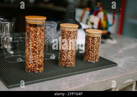 Trockene Kaffeebohnen in einem Glasbehälter, bereit zum Mahlen. Perfekt für Themen wie Kaffeezubereitung, Frische oder handwerkliches Brühen Stockfoto