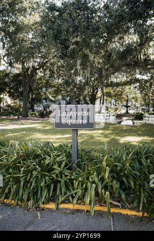 Lafayette Square in Savannah, Georgia, mit Eichenbäumen, spanischem Moos und üppigem Grün im historischen Viertel Stockfoto