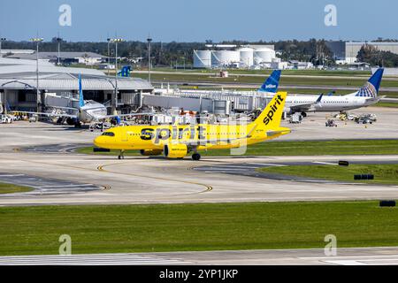 Tampa, USA - 17. Oktober 2024: Spirit Airlines Airbus A320neo am Flughafen Tampa in den USA. Stockfoto