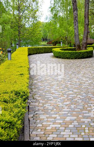 Geschwungener Steinweg gesäumt von lebhaften grünen Hecken in einer ruhigen Gartenanlage Stockfoto