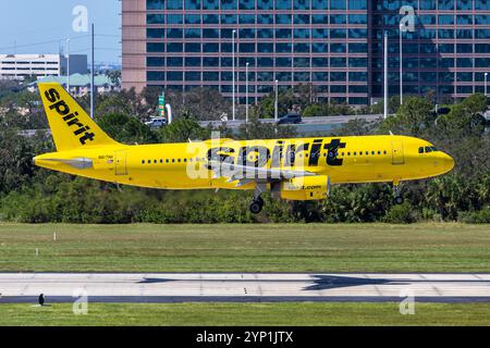 Tampa, USA - 17. Oktober 2024: Spirit Airlines Airbus A320 am Flughafen Tampa in den USA. Stockfoto