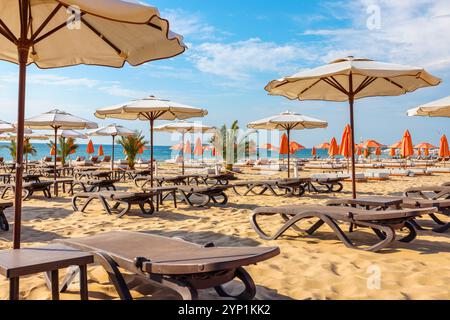 Sonnenliegen und Sonnenschirme am Sunny Beach. Bulgarien Stockfoto