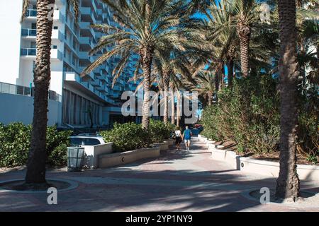Miami Beach, USA - 29. Dezember 2017: Ein Paar macht einen gemütlichen Spaziergang auf einem von Palmen gesäumten Weg in der Nähe eines modernen Strandhotels. Stockfoto